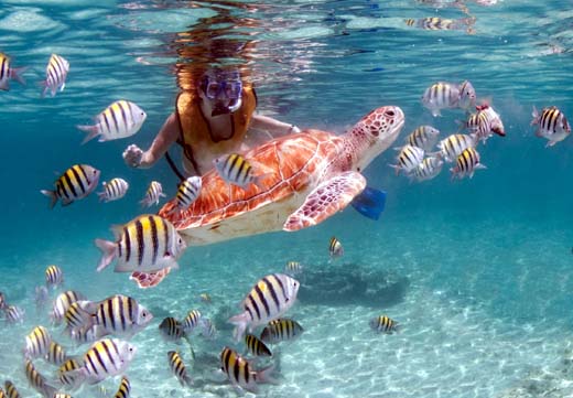 Tour Privado por la Tarde