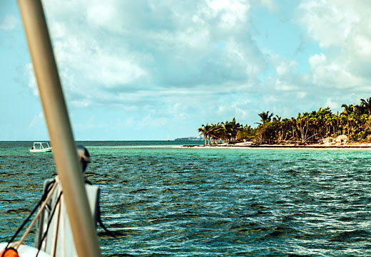 Tour Privado de dos arrecifes privados de seis horas